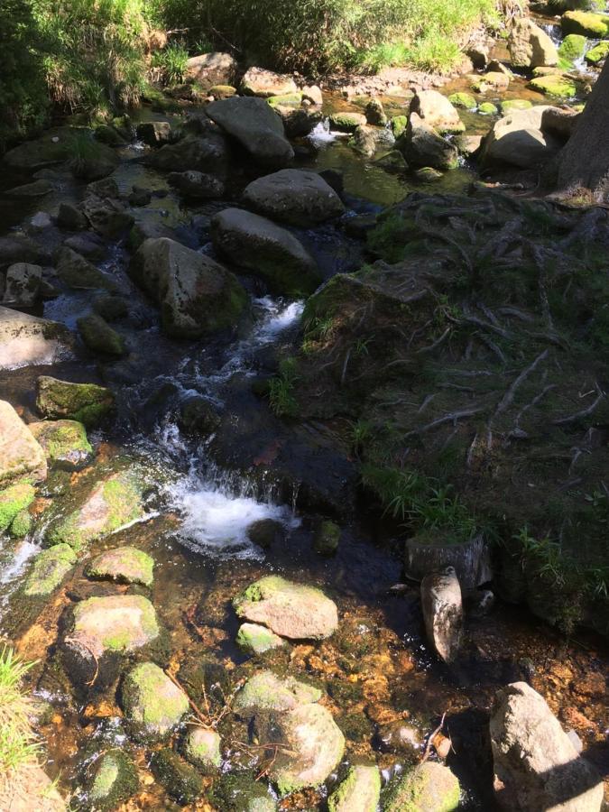 Bergwelt Braunlage Lägenhet Exteriör bild